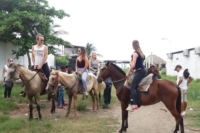 Horse Riding in Cartagena - Overview of the Equestrian Experience