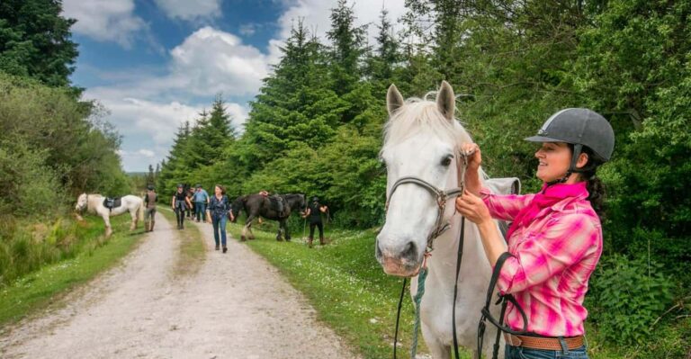 Horse Riding the Dirt Trail. Clare. Guided. 1 Hour