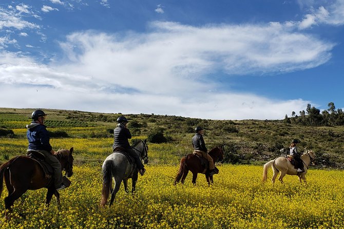 Horse Riding to the Temple of the Moon + Guided Visit to Sacsayhuaman - Cusco - Tour Overview