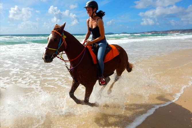 Horse Riding Tour 2 Hours Sea and Desert With Transfer - Hurghada
