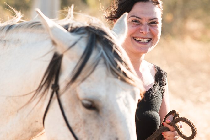 Horse Sanctuary: a Nature Walk With Rescued Horses by Your Side