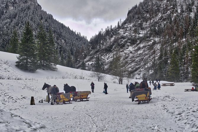 Horse Sleigh Ride in the Polish Countryside, Private Tour From Krakow - Inclusions and Itinerary