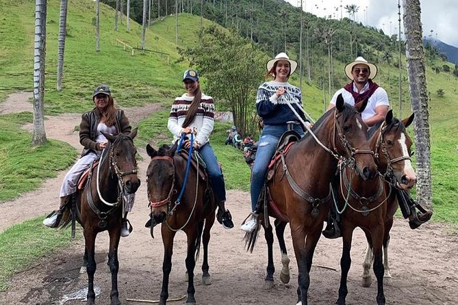 Horseback Riding and Excursion in Cocora Valley - Inclusions
