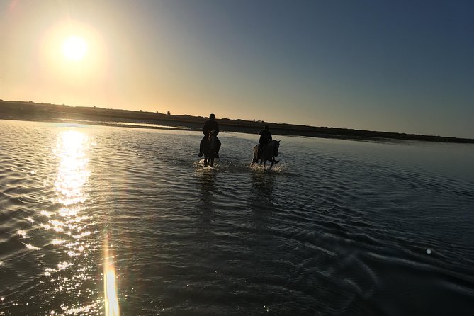 Horseback Riding at Sunrise 3h - Meeting Point Details