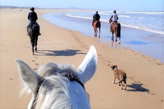 Horseback Riding Day + Picnic