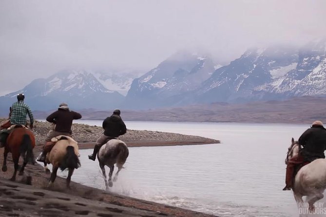 Horseback Riding in Calafate - Overview of the Activity