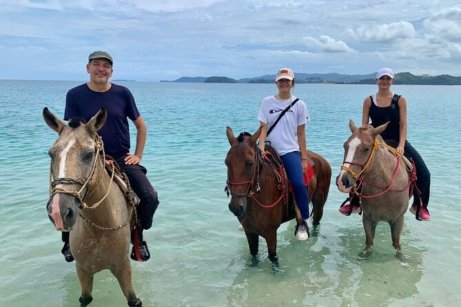 2 Best 2 Hour Tours and Experiences in Playa Flamingo
