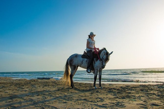 Horseback Riding on the Beach With Paso Colombiano Show,Cartagena - Tour Overview