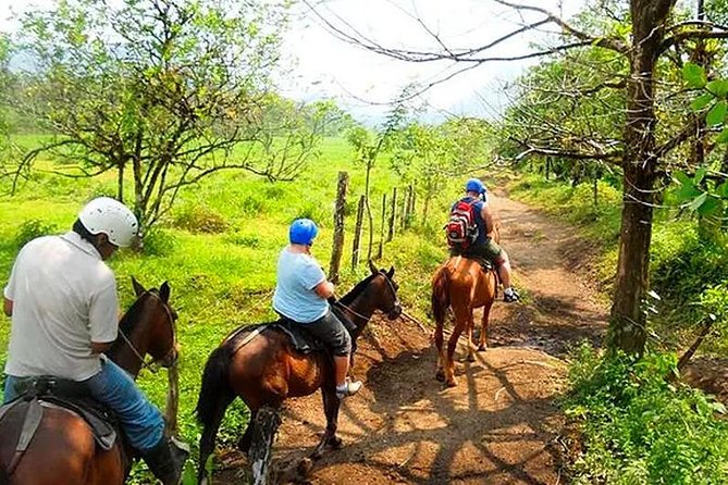 Horseback Riding to La Fortuna Waterfall