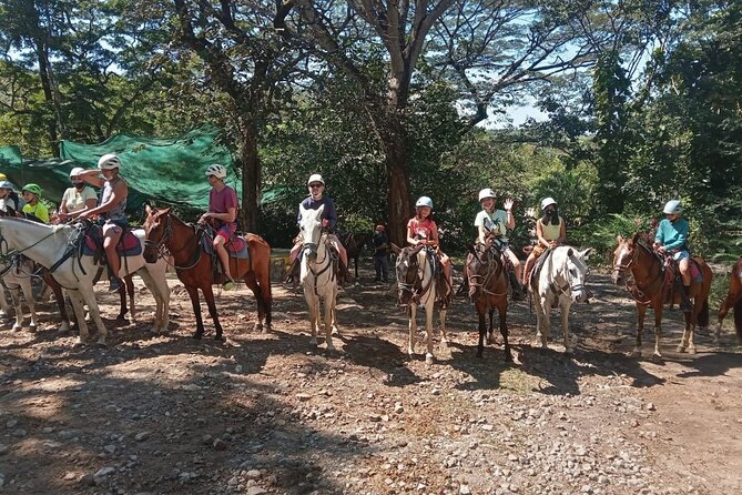 Horseback Riding Tours on the Beach, Mountain
