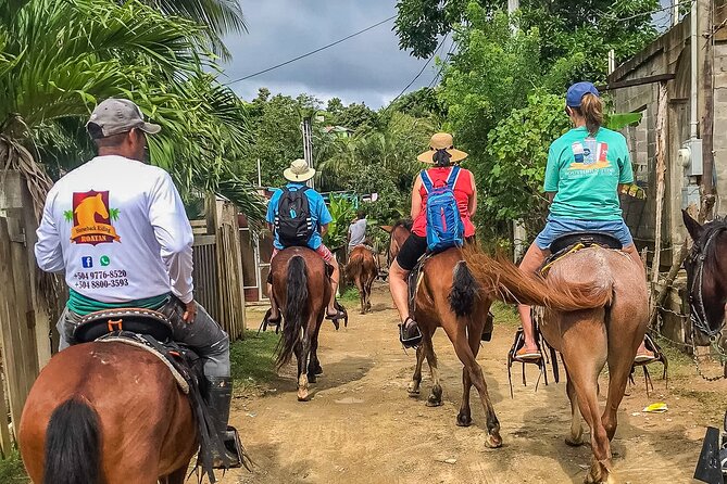 Horseback Riding Trail Tour, Roatan Letters and Ocean in Flowers Bay