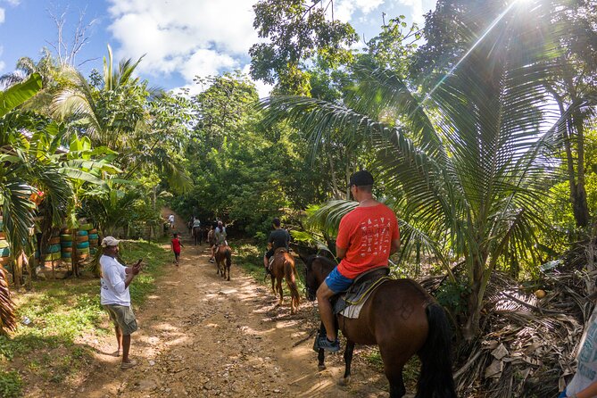Horseback Riding + West End + Choco Factory + West Bay Day Pass @ Paradise Beach