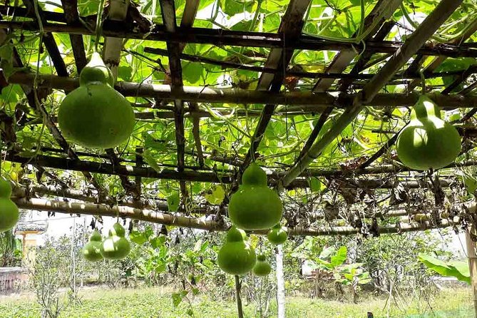 Hue Private Tour to Thuy Bieu Village 1 Day