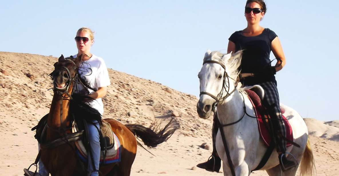 Hurghada: Arabian Desert and Sea Horseback Adventure - Tour Overview and Pricing