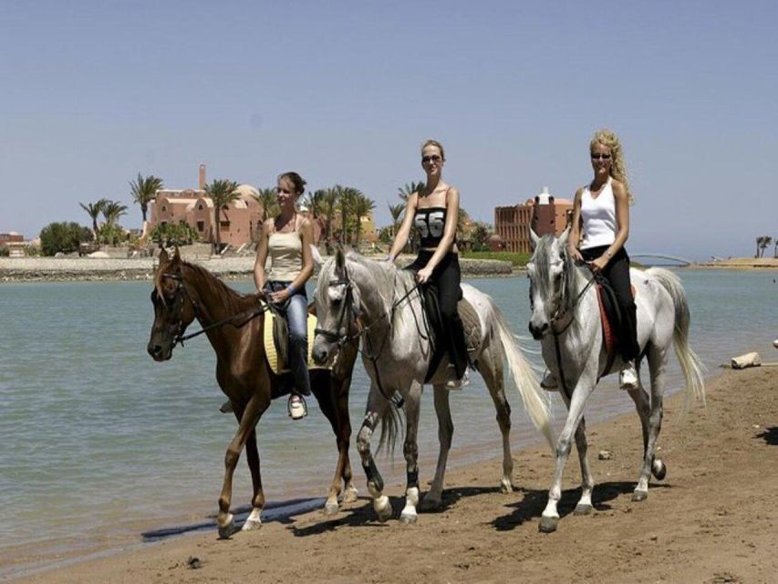 Hurghada: Desert and Sea Horseback Riding Tour With Transfer - Overview of the Tour