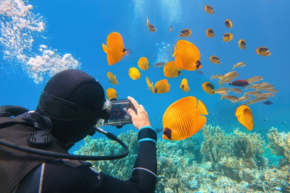 Hurghada: Diving & Snorkeling Cruise Tour W Lunch & Drinks - Tour Overview and Pricing