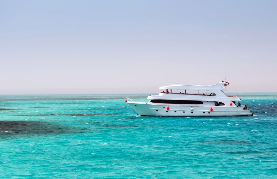 Hurghada: Dolphin Watching Boat Tour With Snorkeling & Lunch - Tour Overview