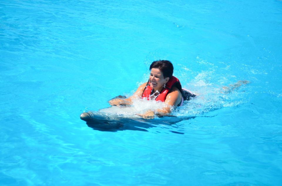 Hurghada: Dolphin World Private Swimming With Pickup - Experience Overview