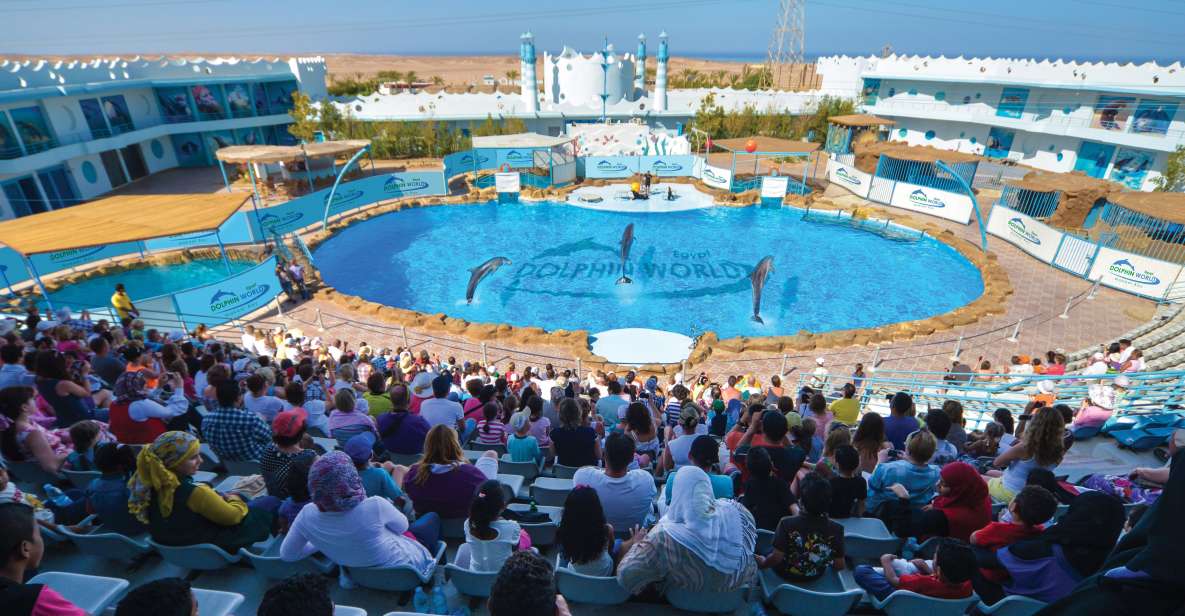 Hurghada: Dolphin World Show With Walruses and Pickup - Activity Overview