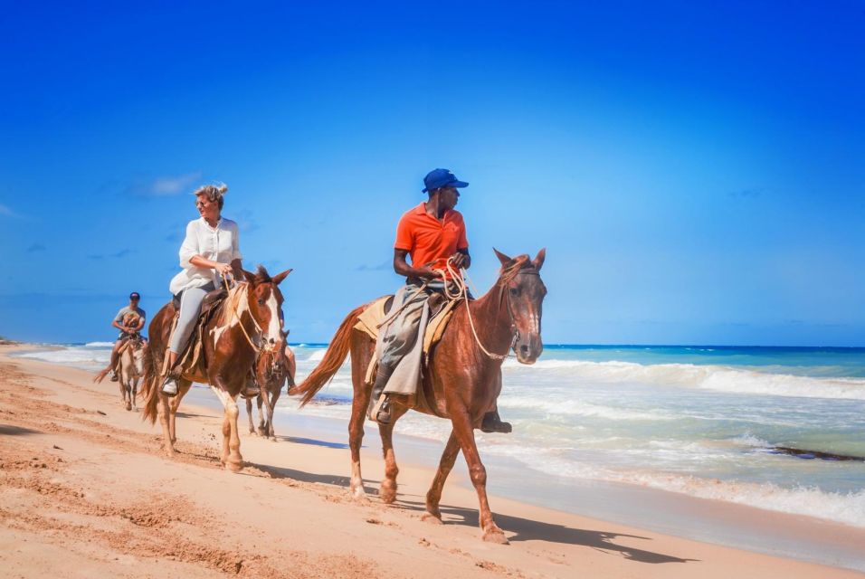 Hurghada: Horse Ride Along the Sea & Desert With Transfers - Activity Overview