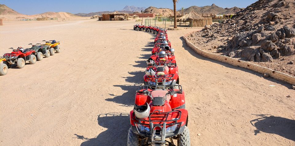 Hurghada: Morning Quad Bike Tour, Camel Ride and Transfer - Tour Overview and Pricing