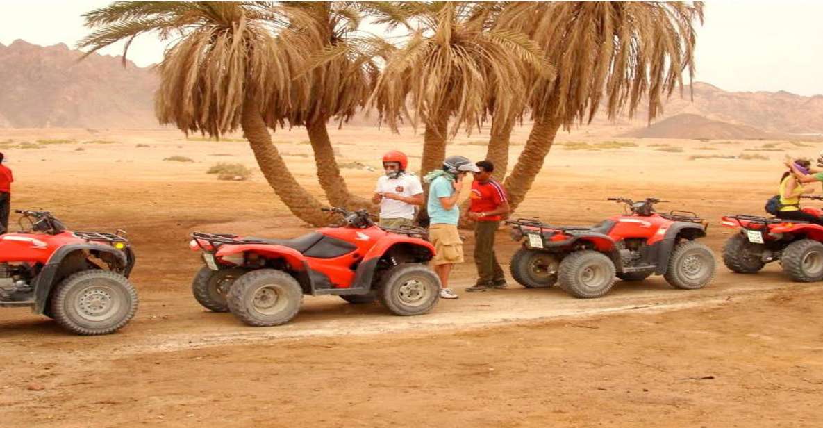 Hurghada: Quad Desert Safari With Camel Ride and Transfer - Activity Overview and Pricing