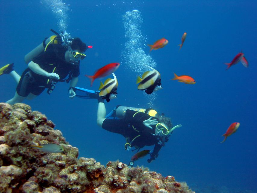 Hurghada Scuba Diving Trip With Pick-Up, Lunch - Trip Overview