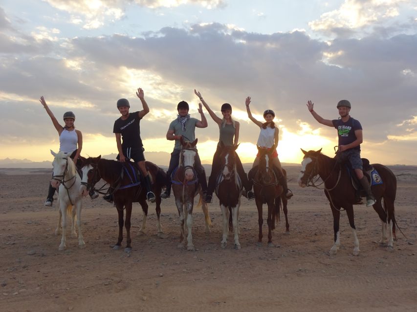 Hurghada: Sea & Desert Horse Tour, Stargazing, Dinner & Show - Tour Overview