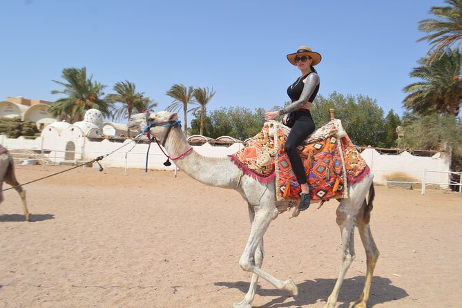 Hurghada: Stargazing, Camel Ride, Quad Bike, Bedouin Dinner, Show