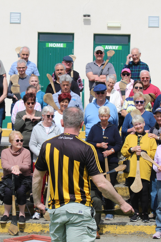Hurling Experience in Kilkenny City