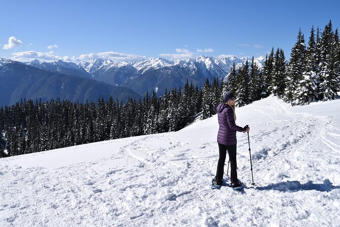 2 Best Guided Tours In Port Angeles