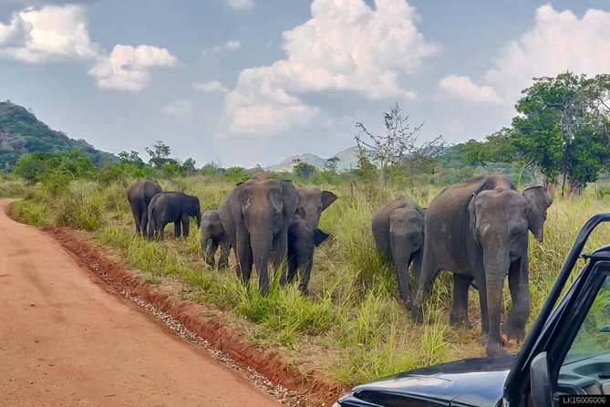 Hurulu Eco Park Private Safari
