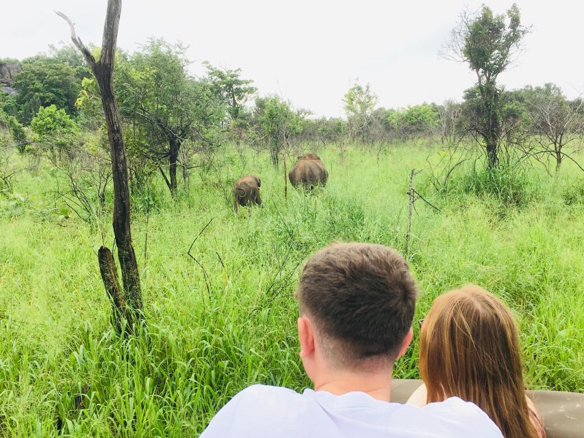 Hurulu National Park Safari Minneriya - Overview of Hurulu National Park