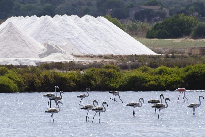 Ibiza Island Tour: Punta Arabi Local Market Review
