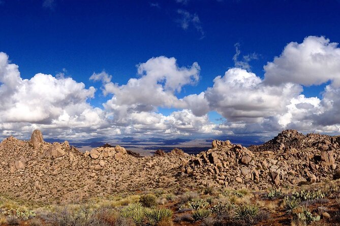 Iconic Toms Thumb Guided Hiking Adventure in Scottsdale, Arizona