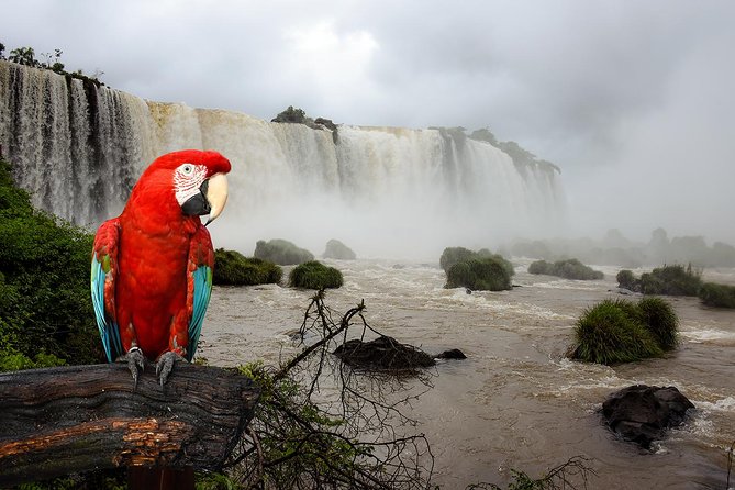 Iguazu Falls Brazilian Side