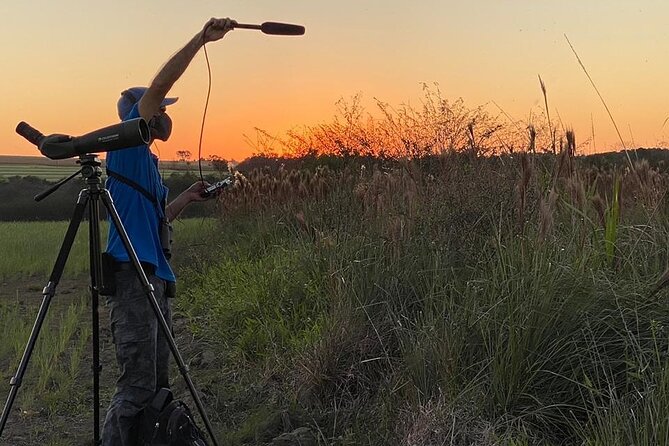 Iguazu Sunset & Nocturnal Birdiwatching