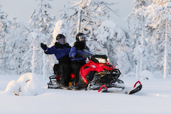 In Pursuit of Reindeer – Snowmobile Safari to Reindeer Farm in Rovaniemi
