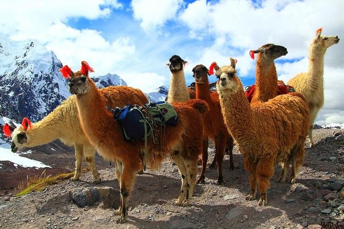 Inca Hot Spring Day Tour