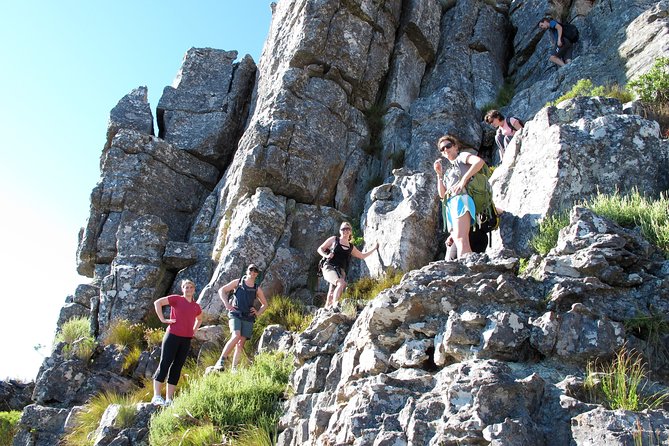 India Venster Route: Hiking in Table Mountain From Cape Town