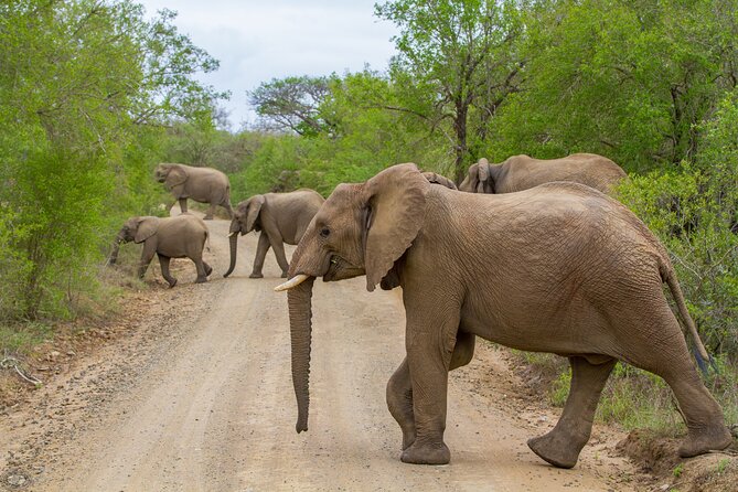 Isimangaliso Sunset Game Drive - Overview of the Isimangaliso Sunset Game Drive