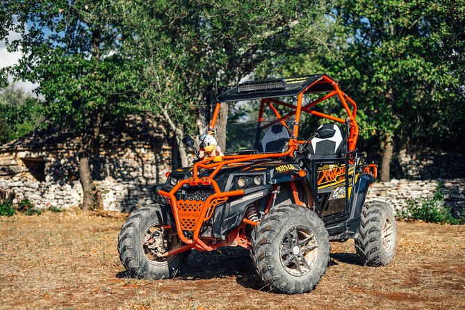 Istra Buggy Tours – Fazana