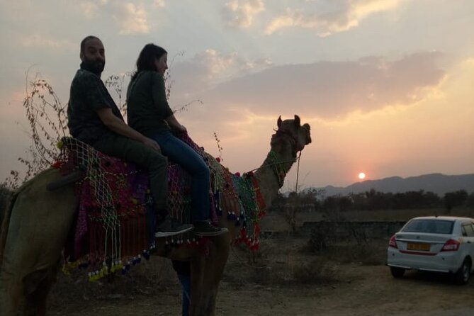 Jaipur: Full-Day Sightseeing Tour by Car With Guide.