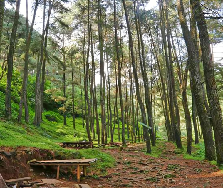2 Best City Tours In Bogor
