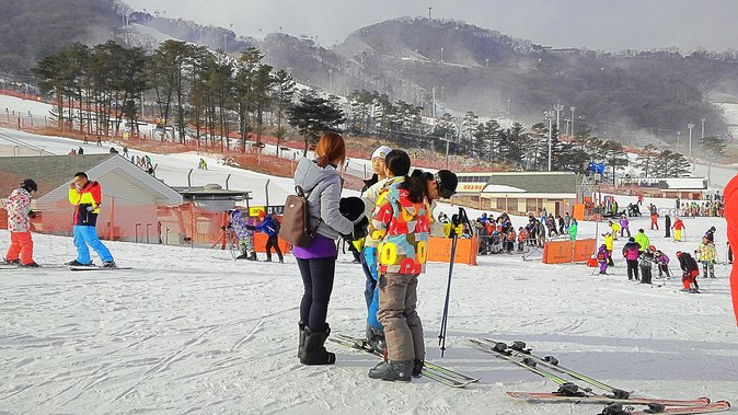 Jisan Ski Resort Serving Breakfast From Seoul (No Shopping) - Transportation From Seoul