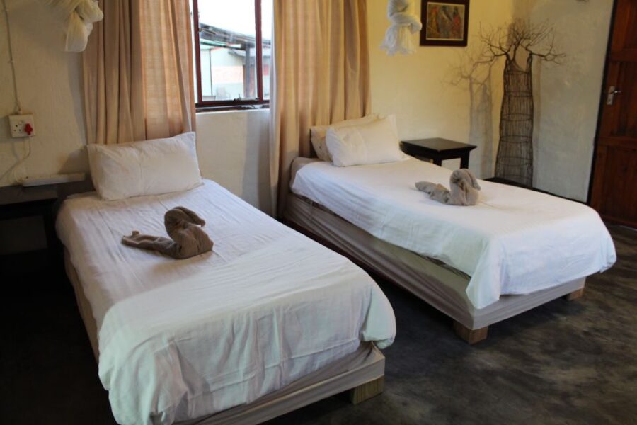 Johannesburg: Affordable 3 Day Kruger Park Safari