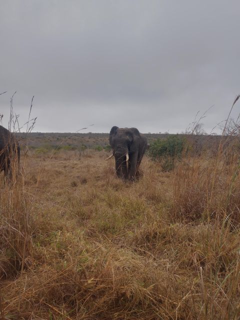 18 Best 3 Day Tours In Johannesburg