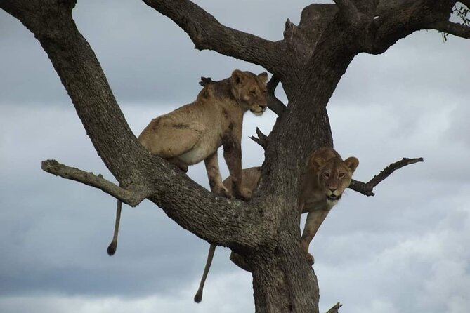 2 Best 3 Day Tours In Tanzania