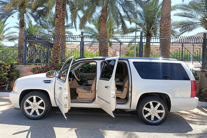 Jordan Tour: Private Driver - Luxurious Car