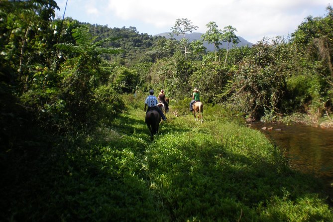 Jungle Horseback & Cave Tube Adventure - Horseback Riding Experience